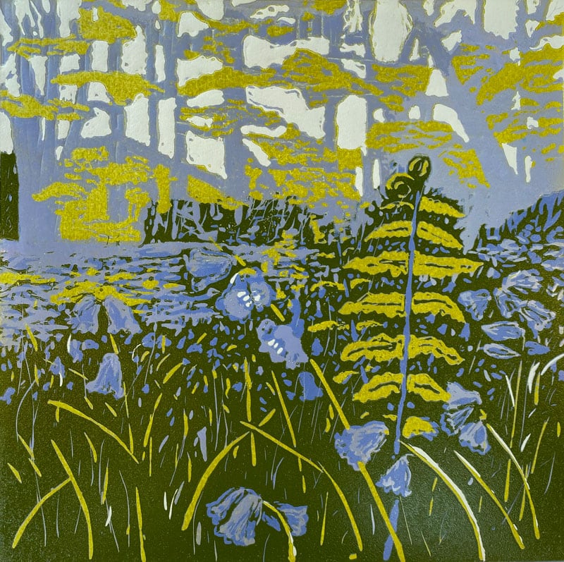 Bluebell wood